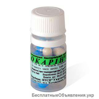 Лечение дисбактериоза