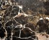 Производство и продажа облицовочно-отделочных материалов