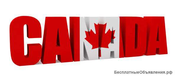 Газон Canada Green