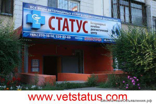 Влдц Статус Воронеж