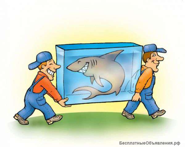 Грузоперевозки