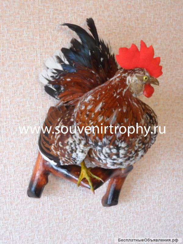 Изготовление чучел птиц, чучел животных