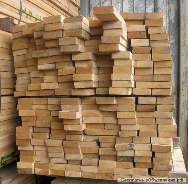 Дуб кавказский 30мм от 1м-2м