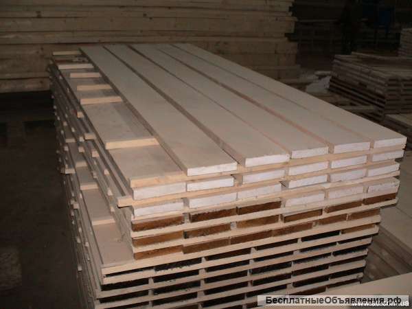 Дуб кавказский 50мм от2м-4м