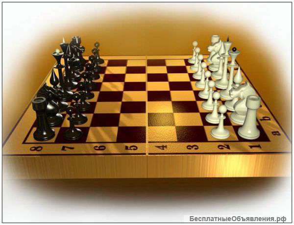 Шахматы