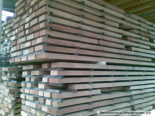 Бук кавказский "С"30-50мм от2м-4м