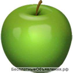 Дизайнер. Программист. Администратор. Продавец. Консультант. Грузчик. Вахтер.