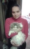 Кошка пушистая девочка