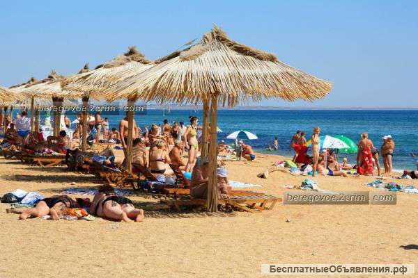 Землю на Южном берегу Крыма