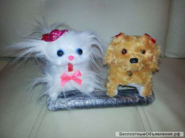 Собаки и Кошки