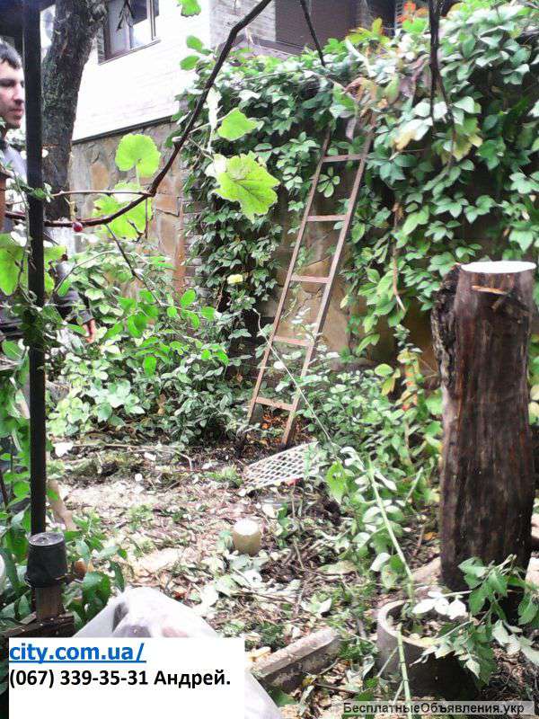 Обрезка сада, профессиональный садовник Киев и области