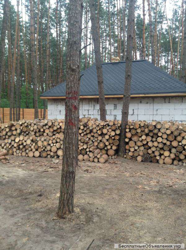 Удаление, резка, порезка деревьев, складирование, уборка территорий