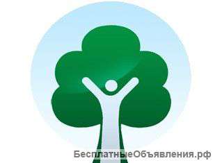 Сертификационный курс НЛП-Практик 31 января