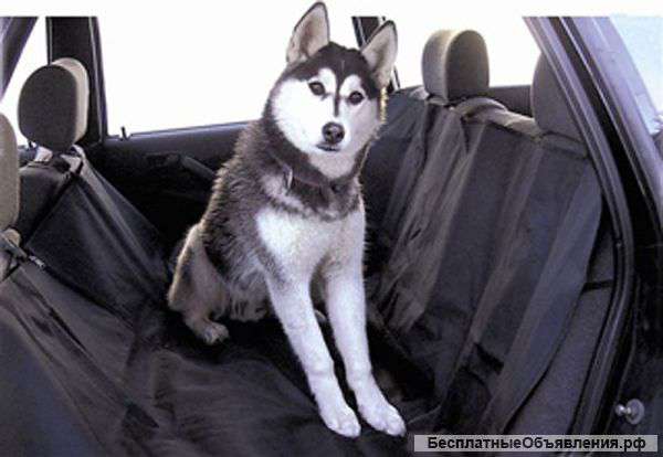 Защитные автомобильные чехлы для перевоза собак в автомобиле