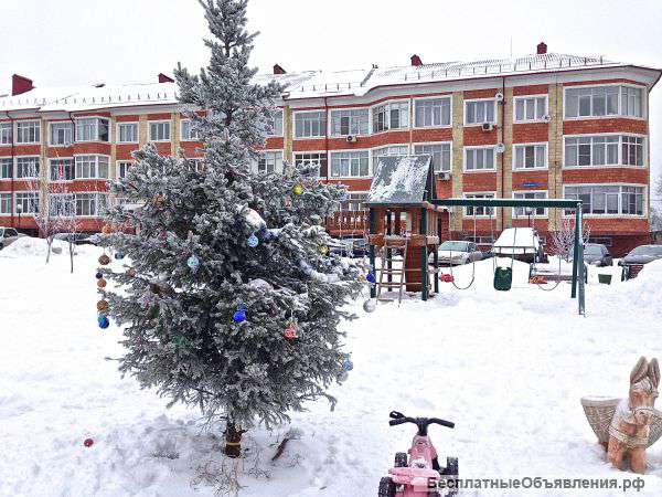 Помещение в цоколе (студия)