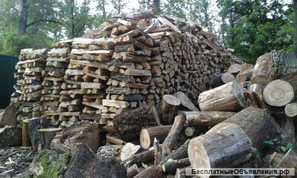 Дрова в Самаре купить