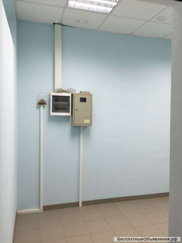 Сдам помещение в ареду (коммерческая недвижимость)