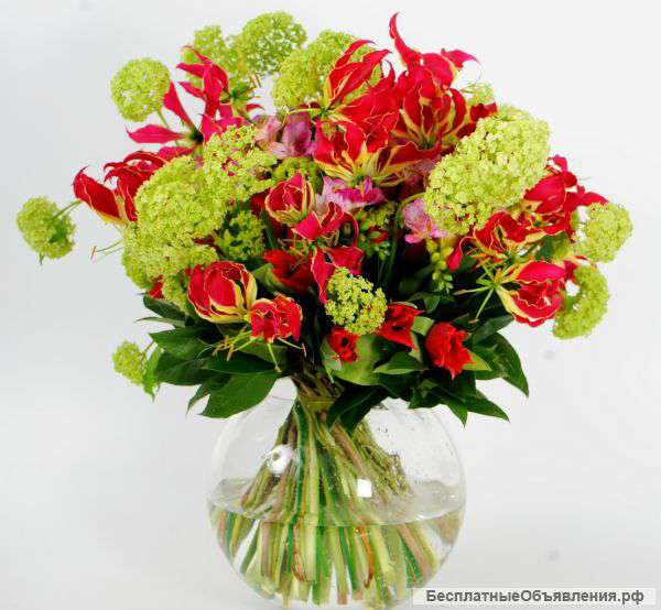 Основы современной флористики