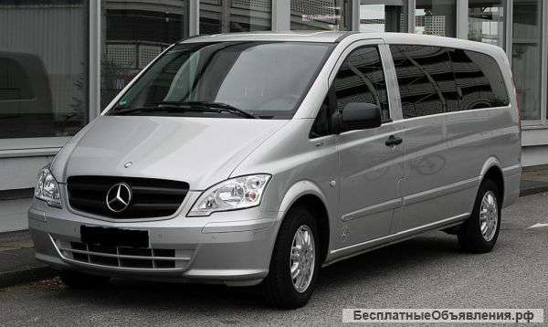 Водитель со своим микроавтобусом