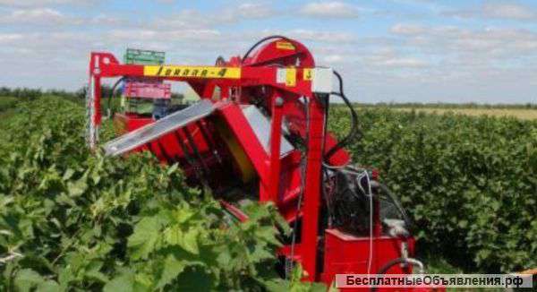 Комбайн для сбора ягод (Польша)(bF/7-577)