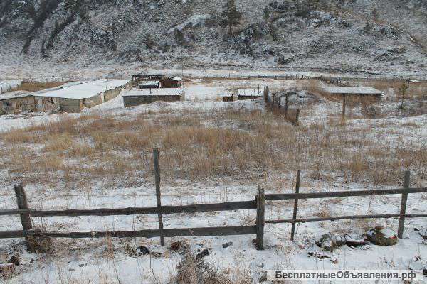 Земельный участок сельхоз. назначения с.Чемал