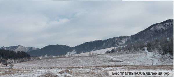 Земельный участок сельхоз. назначения с.Чемал "Барантал"
