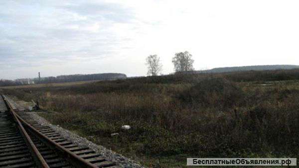 Земельный участок 4 га в Шахово, Домодедовский район