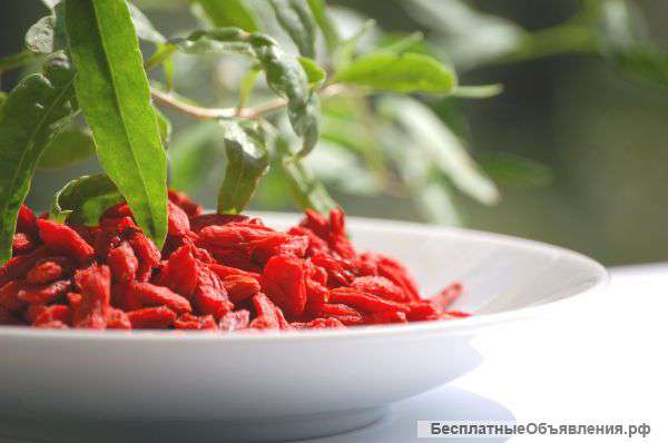 Ягоды годжи премиум упакованы в Италии