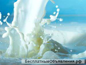 Молоко ультра пастеризованное "Сударыня"