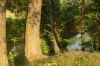 Земельный участок