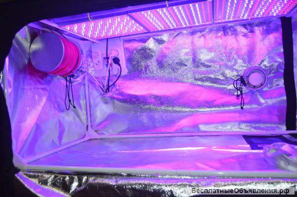 Гроубокс (GrowBox)