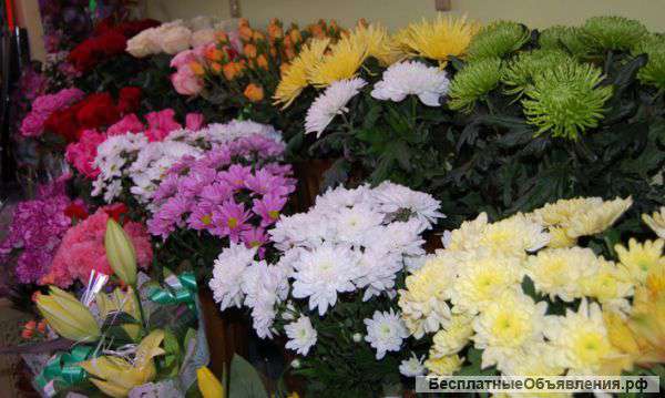 Цветочный салон