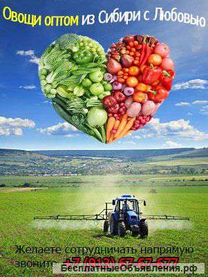 Овощи оптом из 1-вых рук