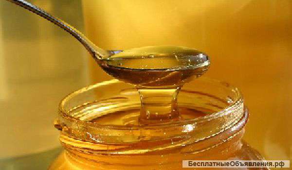 Мед алтайский