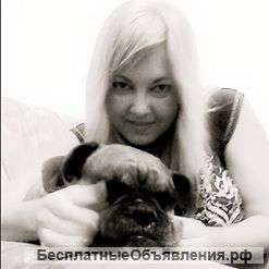 Свои услуги ведение свадеб, тамада