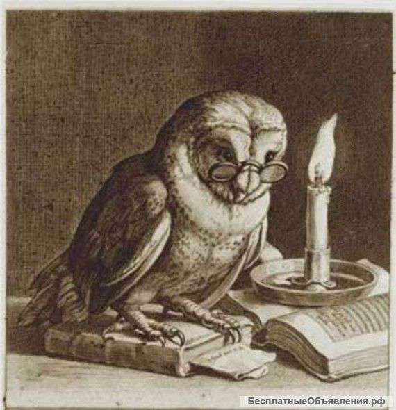 Адвокат, советник юстиции