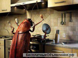 Профессиональное уничтожение тараканов