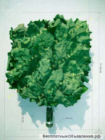 Веники для бани