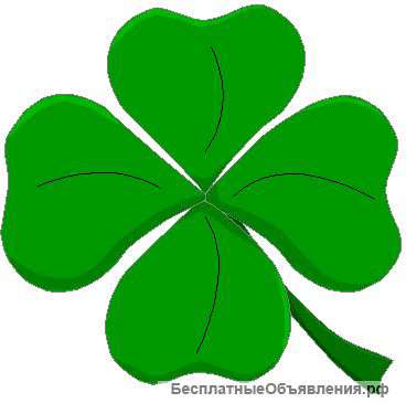 Перевод документов и нотариальное заверение