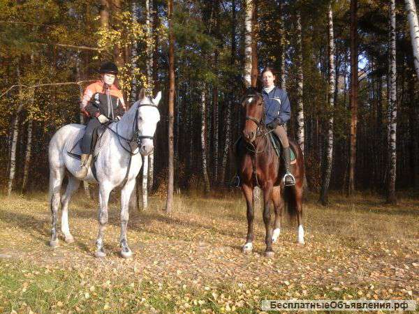 Верховая езда по нац парку Лосиный остров