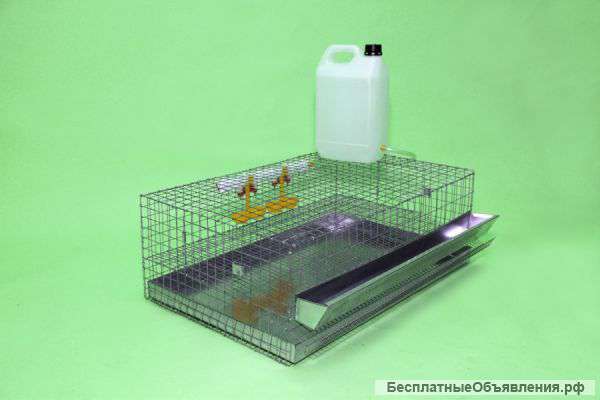Клетка для перепелов на 30 голов