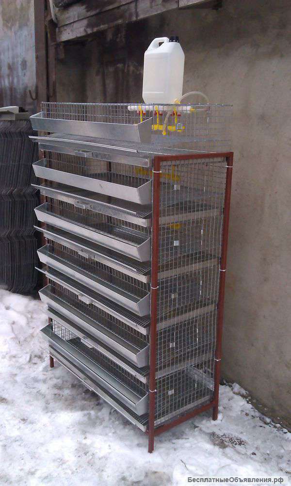 Клетка для перепелов на 300 голов