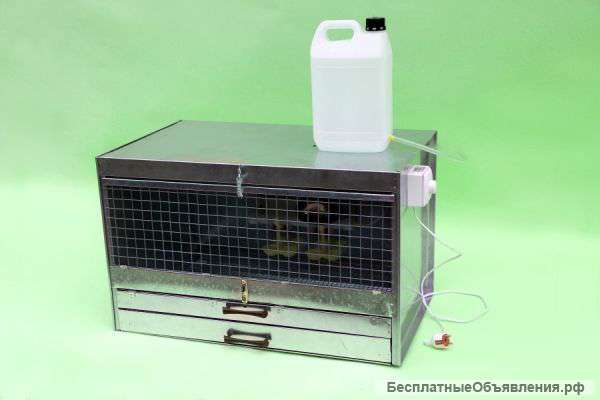 Брудер 50-70 цыплят