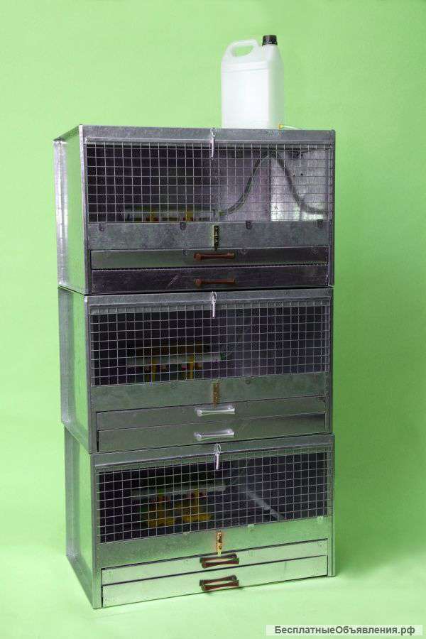 Брудер 150-210 цыплят