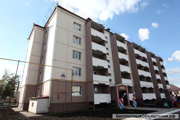 Сдам квартиру в альметьевске