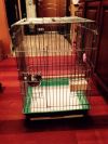 Большая клетка для попугая