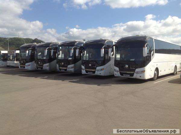 ПЕРЕВОЗКИ на Новых Туристических Автобусах