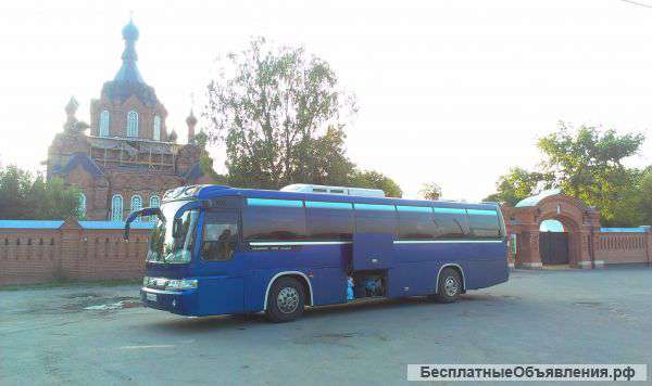 Заказ автобуса в Челябинске . Пассажирские перевозки KIA GRANBIRD 45 мест