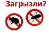 Уничтожение насекомых и грызунов