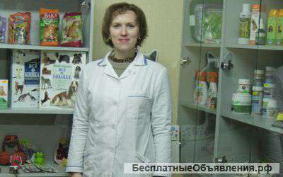 Ветеринарный врач на дом